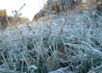 В Києві спостерігався найхолодніший день тижня