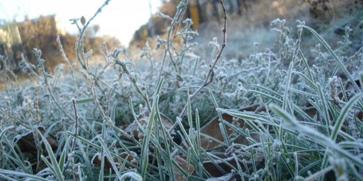 В Києві спостерігався найхолодніший день тижня