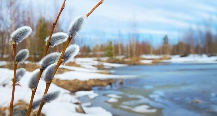 Погода у Києві та області 17 лютого