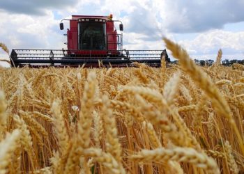 Ціни на харчі у світі побили 10-річний максимум. Україна у виграші, українці – навпаки