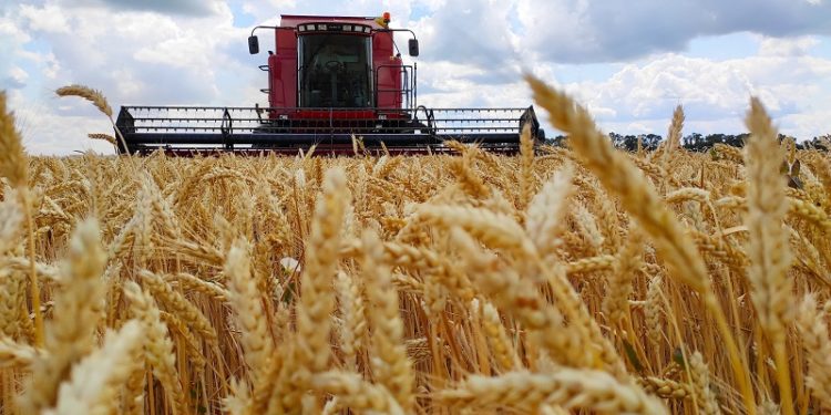 Ціни на харчі у світі побили 10-річний максимум. Україна у виграші, українці – навпаки