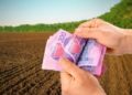 В Україні стрімко зростають ціни на землю