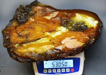 В Україні знайшли найбільший за всю історію камінь бурштину