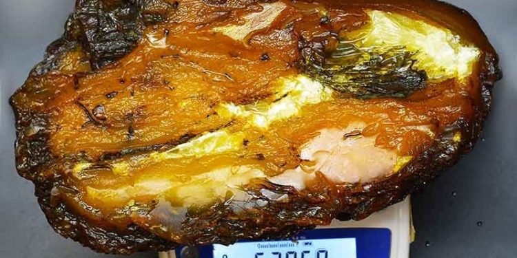 В Україні знайшли найбільший за всю історію камінь бурштину