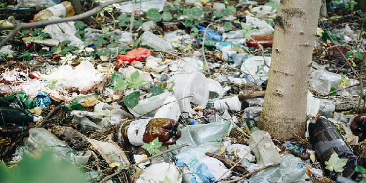 Мікроби на всій планеті еволюціонують, щоб харчуватися пластиком, – дослідження