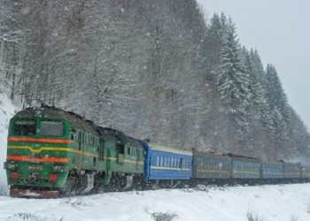 На Закарпатті поїзд зійшов з рейок через дерево, що впало на колію