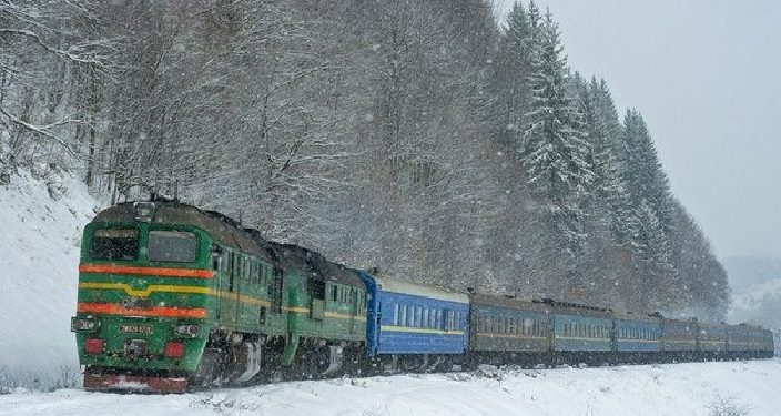 На Закарпатті поїзд зійшов з рейок через дерево, що впало на колію