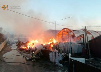 Під Києвом шосту годину гасять пожежу на пилорамі (відео)