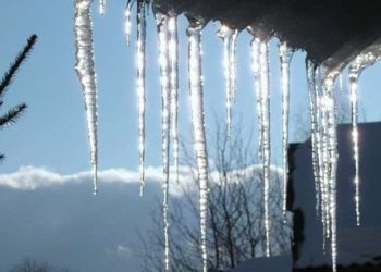 Синоптикиня Наталка Діденко розповіла про погоду на Новий рік