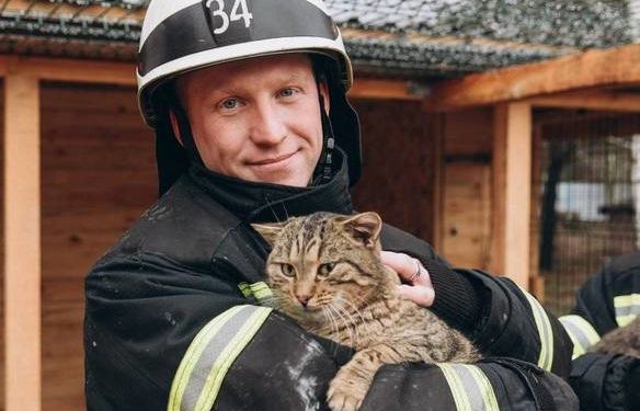 На Київщині рятувальники знялися у фотосесії на підтримку безпритульних тварин