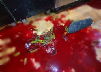 У Білій Церкві чоловік випадково розбив банку з огірками і помер від втрати крові