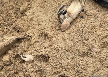 Митрополит Епіфаній відвідав Бучу, Ірпінь та Гостомель (фото, відео)