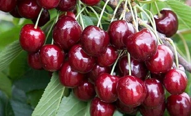 Експерт розповів, які продукти в Україні подорожчають через війну