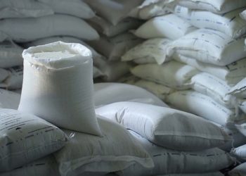 Білорусь заборонила вивозити з країни продукти вагою понад кілограм