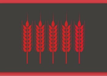 Ворог вивозить крадене зерно у Крим і хоче спричинити голод у південних регіонах України