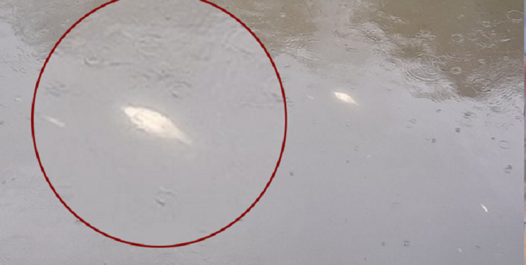 На Рівненщині неподалік місця, де уламки ракети влучили у склад міндобрив, у річці зафіксували перевищення вмісту амонію