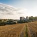 Росія лякає Україну і світ голодом, – Центр протидії дезінформації при РНБО