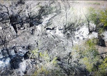 Спецпризначенці Нацгвардії знищили три БМП разом з екіпажом і показали, як скидають ВОГ на позиції ворога