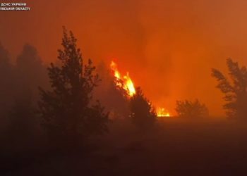 Поблизу Чорнобильської зони спалахнув ліс. Київ затягнуло димом (відео)
