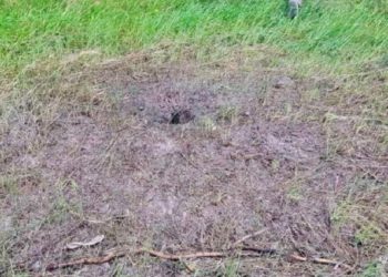 У полі під Макаровом на Київщині двоє чоловіків підірвалися на протипіхотній міні