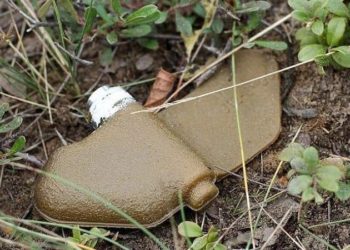 Піротехніки ДСНС уклали рейтинг найпідступніших ворожих боєприпасів (відео)