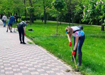У Києві під час толоки висадили клени і сакури (фото)
