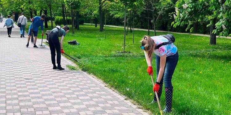 У Києві під час толоки висадили клени і сакури (фото)