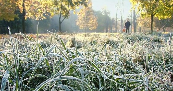 Найближчої ночі у західних областях можливі заморозки