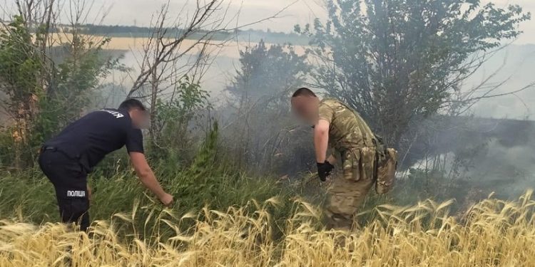 На Херсонщині поліцейські врятували 40 га зернових від пожежі через обстріл російськими окупантами