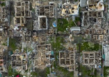 Майстер-план Ірпеня, який стане “містом мрії”, розробить відомий японський архітектор