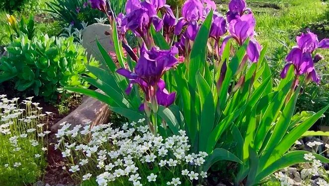 Початок тижня в Україні буде теплим, переважно без опадів