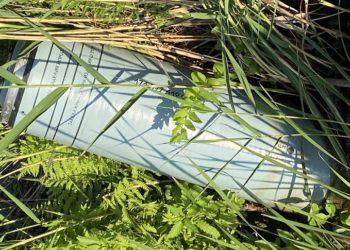 На Київщині в очереті біля річки знайшли російську крилату ракету