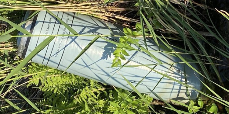 На Київщині в очереті біля річки знайшли російську крилату ракету