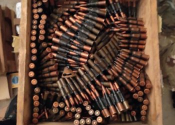 Кияни задекларували 1119 одиниць вогнепальної зброї