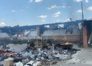 На Харківщині окупанти знищили равликову ферму, згоріли 1,5 тонни равликів і склад косметики з муцином