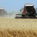 Аграрії прогнозують стабільність на ринку
