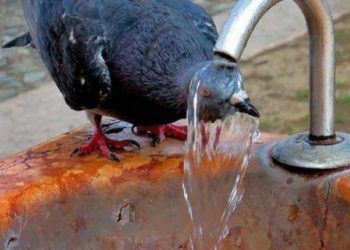 На Захід України спека повернеться у вівторок, – синоптик