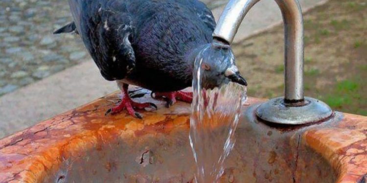 На Захід України спека повернеться у вівторок, – синоптик