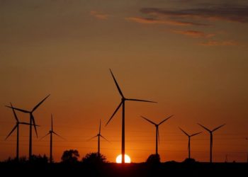 Польща планує відновити розвиток вітрової енергетики