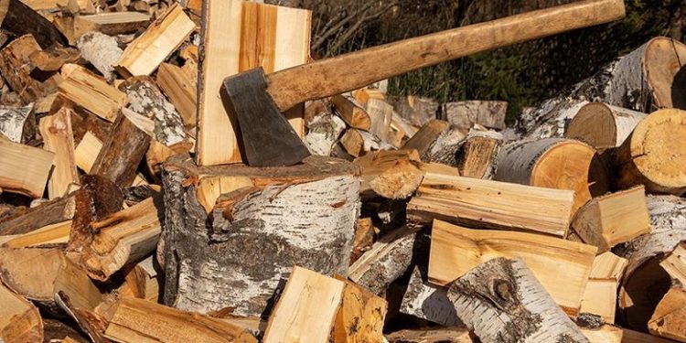 Ціна на дрова в Україні зросла приблизно на 25%