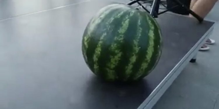 Під Одесою 8-кілограмовий херсонський кавун продали з молотка за 2 тисячі гривень (відео)