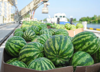 Окупанти вкрали знамениту баржу, якою возили кавуни з Херсона до Києва