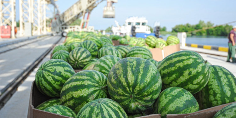 Окупанти вкрали знамениту баржу, якою возили кавуни з Херсона до Києва