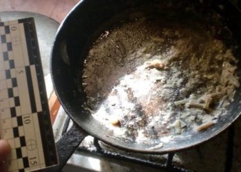 На Київщині від отруєння грибами померли дві сестрички і 4-річний братик