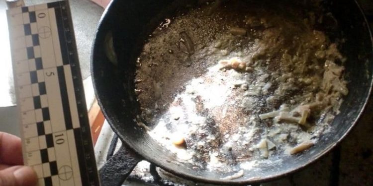 На Київщині від отруєння грибами померли дві сестрички і 4-річний братик