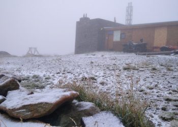 У Карпатах випав сніг (фото)