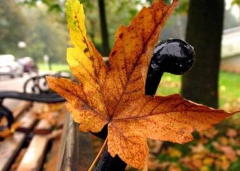 Синоптик розповіла, коли в Україні потепліє і чи припиняться дощі