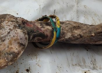 Дружина опізнала вбитого в Ізюмі військового з синьо-жовтим браслетом (фото)