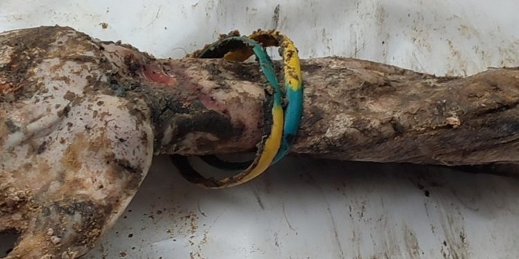 Дружина опізнала вбитого в Ізюмі військового з синьо-жовтим браслетом (фото)