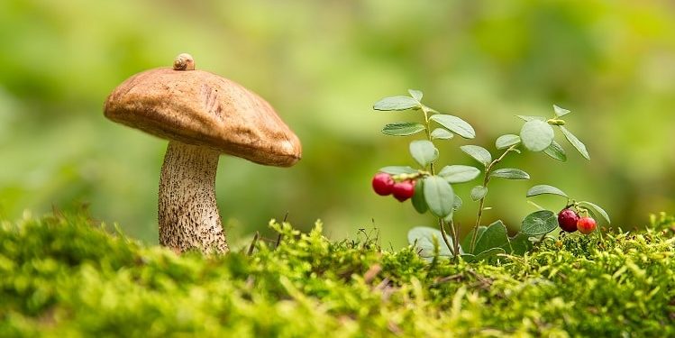 Цьогорічний вересень в Україні може стати найтеплішим за останні 30 років